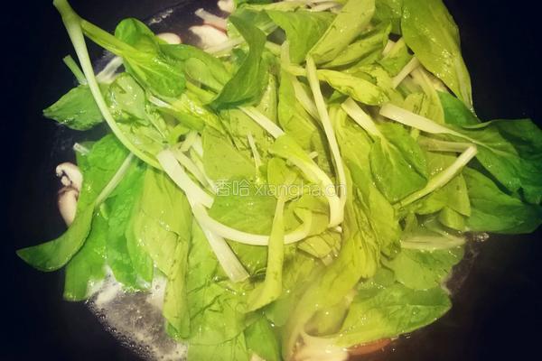 香菇白菜肉汤的做法图解5