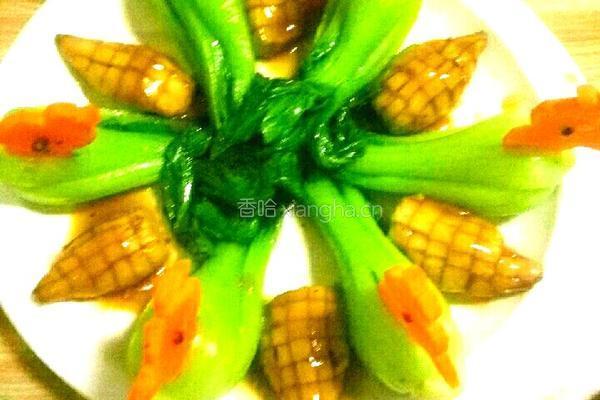 素鲍菜心的做法图解16
