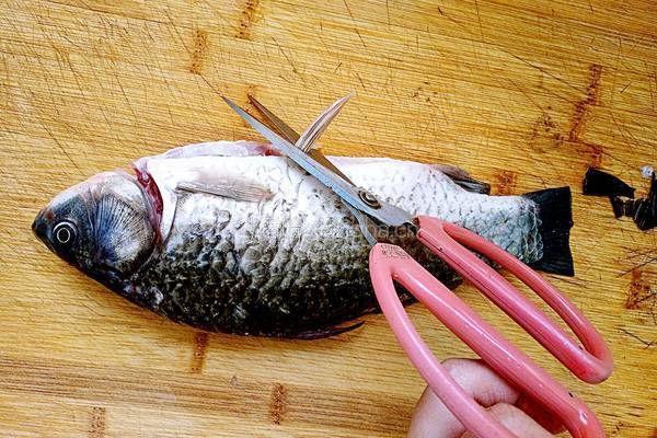鲫鱼豆腐汤的做法图解4
