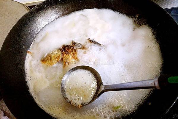鲫鱼豆腐汤的做法图解18
