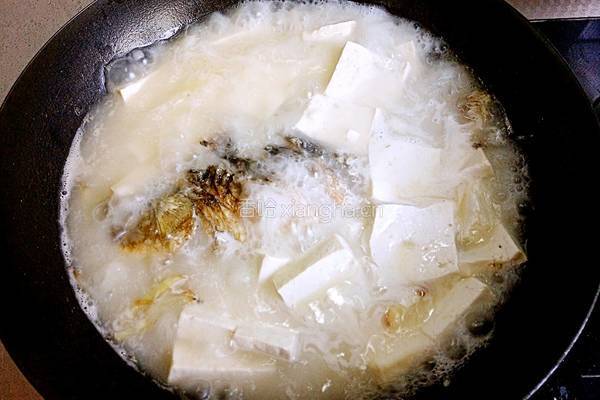 鲫鱼豆腐汤的做法图解22