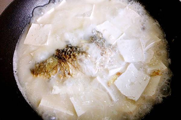 鲫鱼豆腐汤的做法图解24