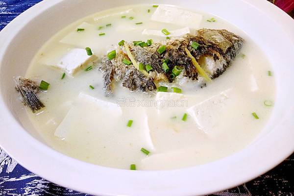 鲫鱼豆腐汤的做法图解28