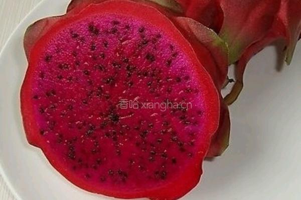 鲜榨红心火龙果的做法图解1