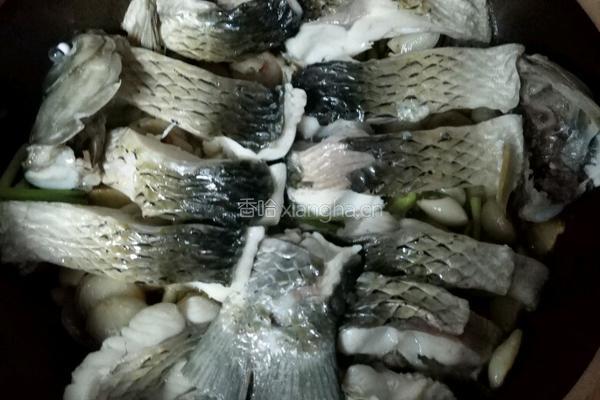 生姜焗鲩鱼的做法图解4