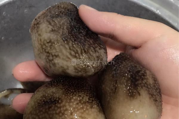 美容养生糖水的做法图解1