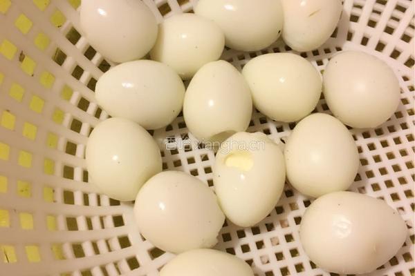 鹌鹑蛋木瓜西米银耳糖水的做法图解3