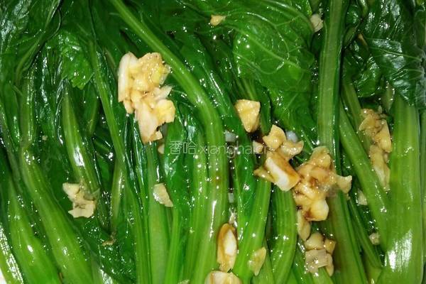 白灼菜心的做法图解4