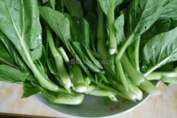 白焯菜心的做法图解1