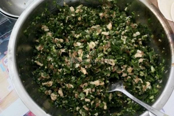 韭菜鸡蛋粉条饺子的做法图解1