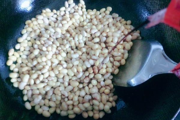 辣炒黄豆烧肉的做法图解4