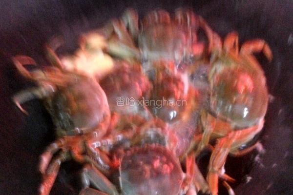 盐焗毛蟹的做法图解2