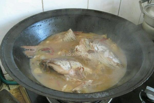 鲤鱼炖腰果的做法图解3