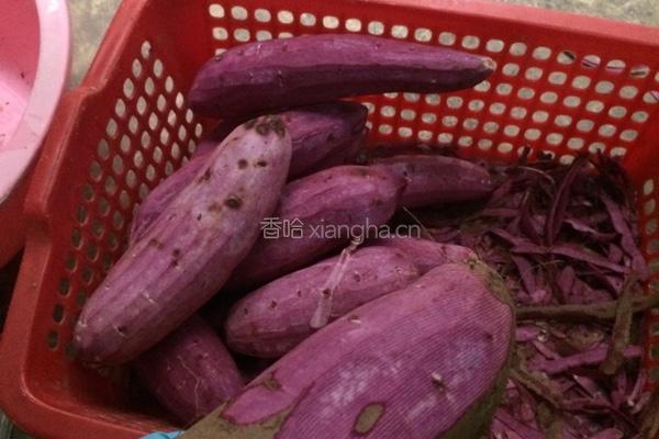 橄榄包（紫薯、红薯）的做法图解1