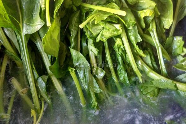 凉拌菠菜土豆丝的做法图解5