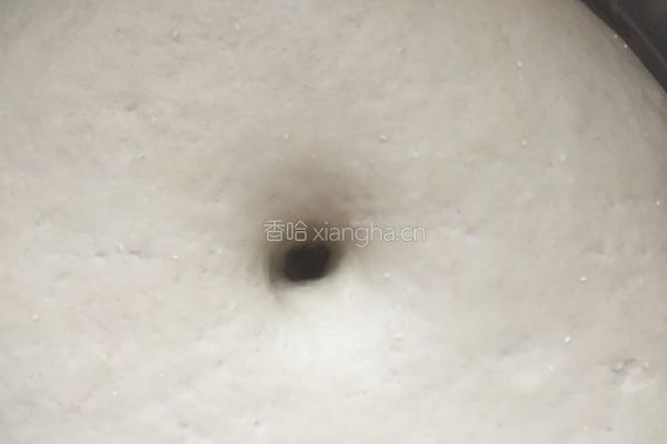 香菇肉包的做法图解1