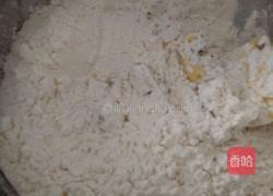蔓越莓饼干的做法图解8