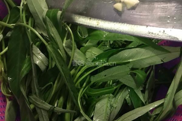 黄豆酱炒通菜的做法图解1