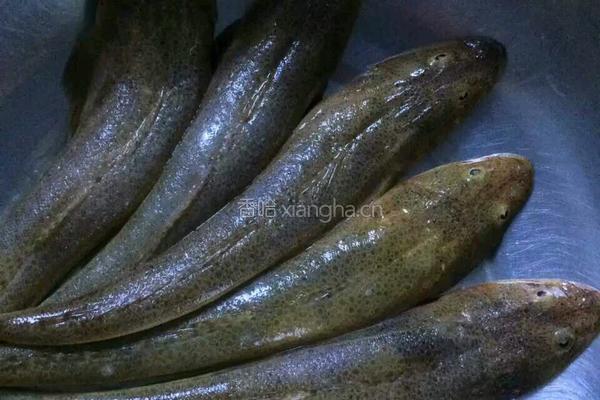 鱼炖豆腐的做法图解1