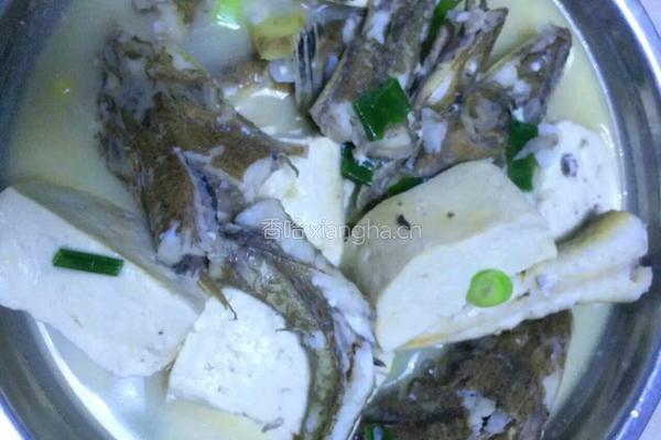 鱼炖豆腐的做法图解7
