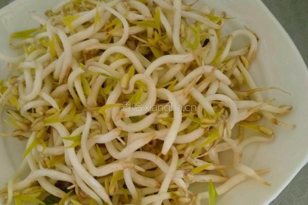 家常炒豆芽的做法图解1
