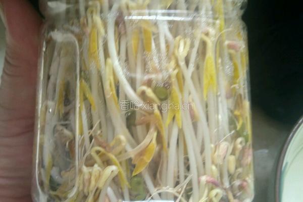 绿豆芽的做法图解8