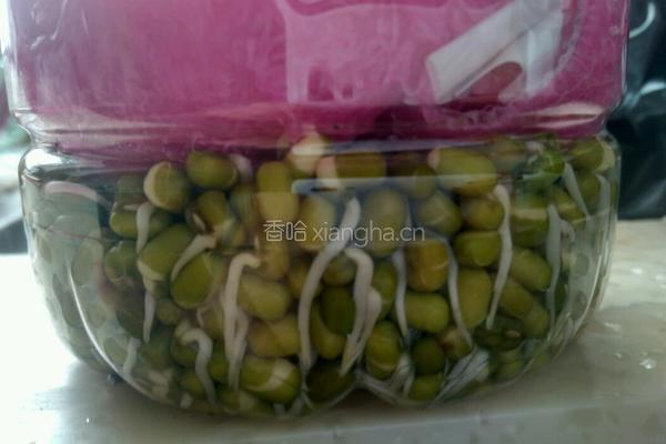 绿豆芽的做法图解4