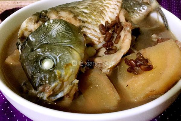赤小豆粉葛鲫鱼汤的做法图解5