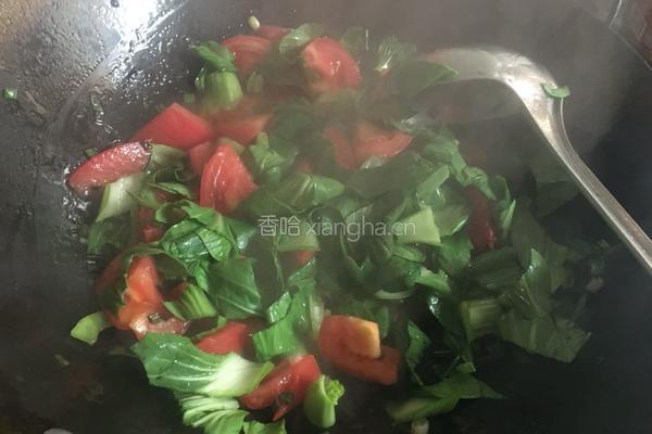 西红柿疙瘩汤的做法图解6