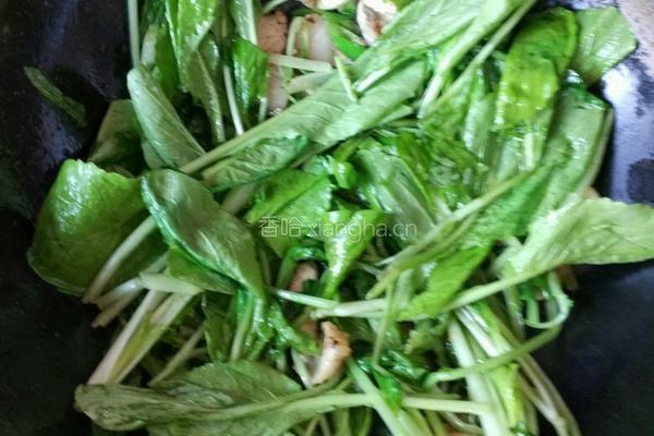 小白菜猪肉豆腐汤的做法图解4