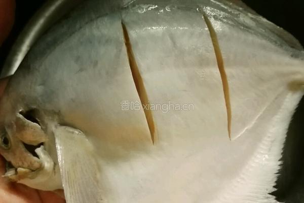 清蒸鲳鱼的做法图解3