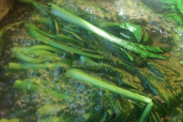 白灼菜心的做法图解2