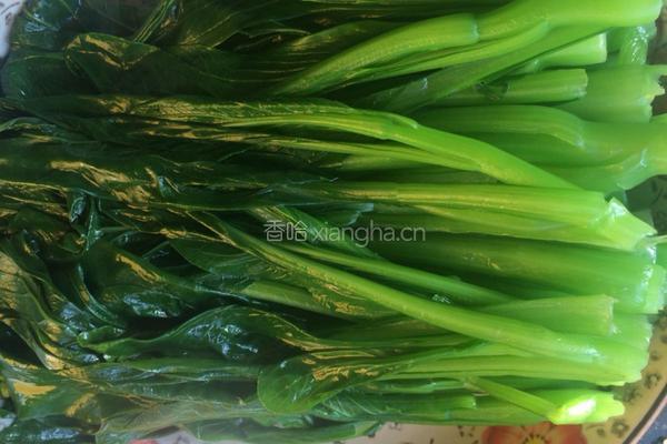 白灼菜心的做法图解3