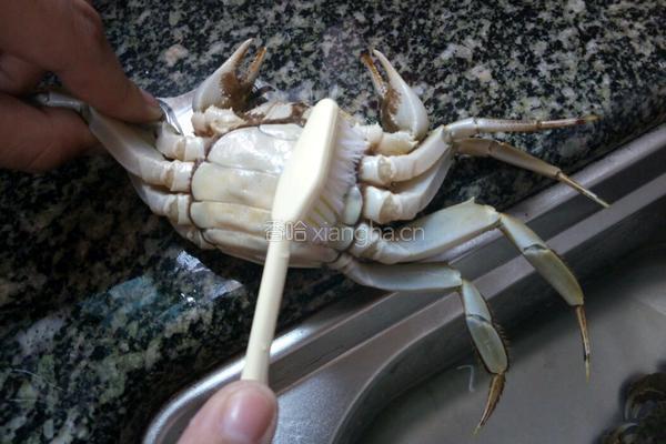 清蒸大闸蟹的做法图解2