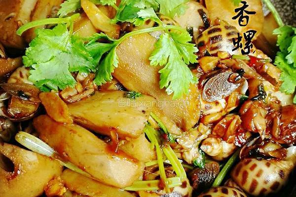 酱爆藕块花螺的做法图解10