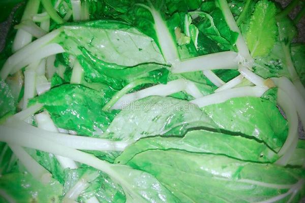 清炒小白菜的做法图解3