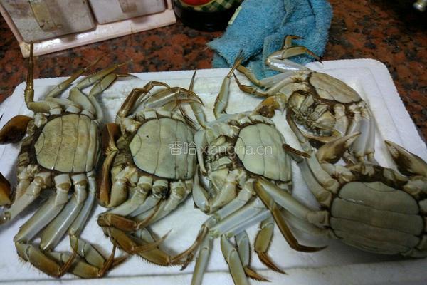清蒸大闸蟹的做法图解4