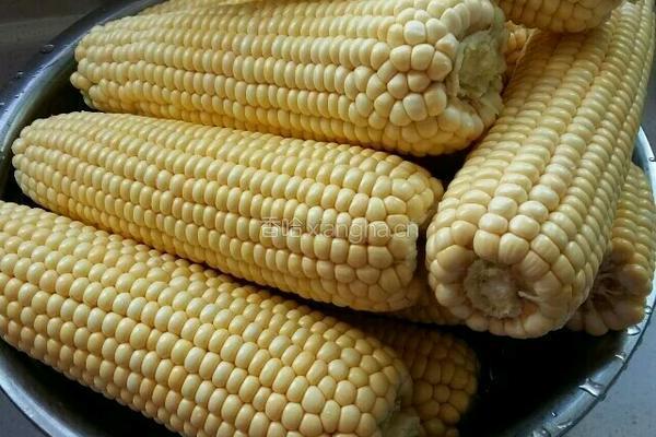 鲜玉米饽饽的做法图解1