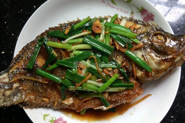 福寿鱼