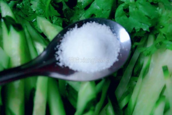 多味菜丝的做法图解6