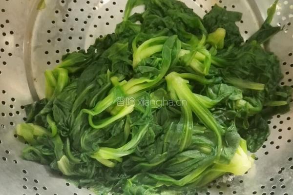 凉拌好菜的做法图解9