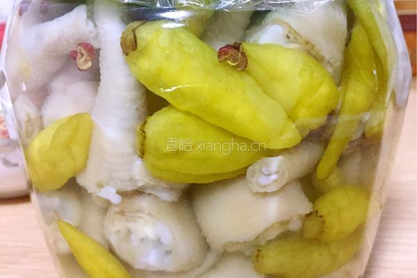 自制泡椒凤爪的做法图解4