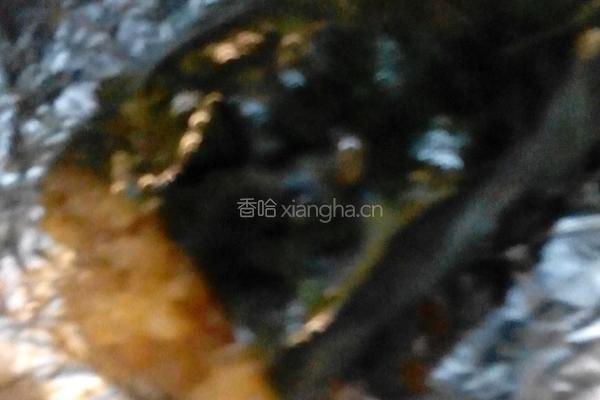 棕香排骨的做法图解11