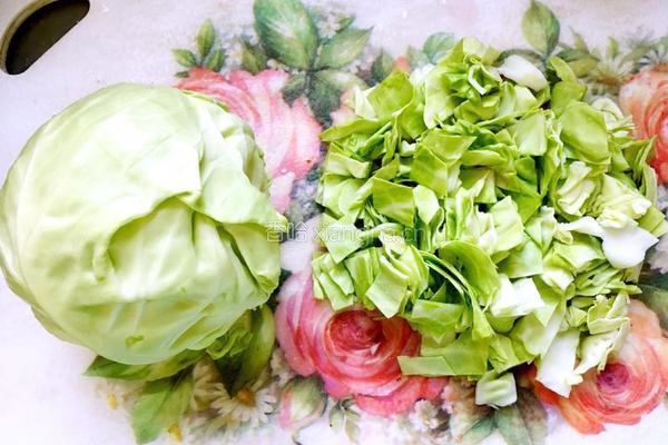 自创肥牛红菜汤的做法图解3