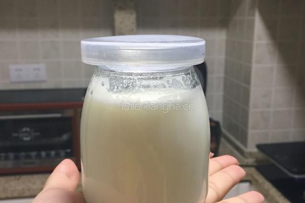 布丁的做法图解4