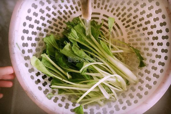 腌制下饭小白菜的做法图解1