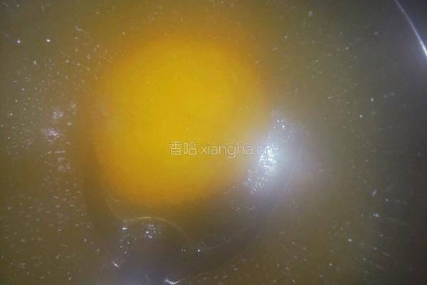 香茄土豆饼的做法图解14