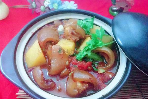 番茄土豆炖牛蹄肉的做法图解15