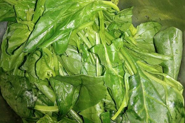 菠菜土豆丝儿甩袖汤的做法图解1