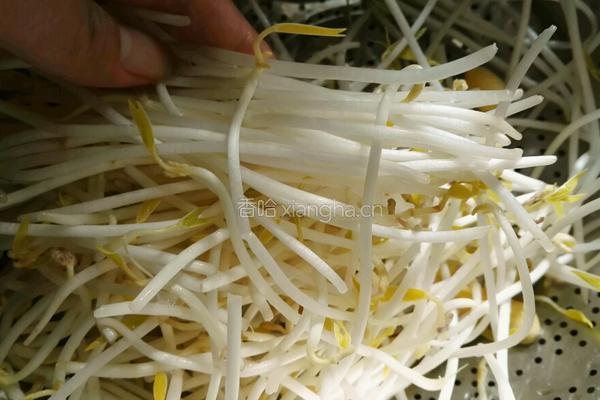素炒三丝的做法图解2